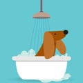 Brown dog taking a bath with soap foam Royalty Free Stock Photo