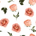 Floral seamless pattern, background design: garden peach, creamy, orange Rose, green leaves. Royalty Free Stock Photo