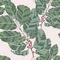 Berries, leaves, shoots and grains of coffee, seamless pattern, line art in simple style and colored.