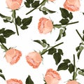 Floral seamless pattern, background design: garden peach, creamy, orange Rose, green leaves. Royalty Free Stock Photo