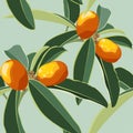 Seamless background with kumquat Fortunella fruits and leafs. Vintage style illustration on blue background.