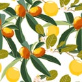 Cartoon style seamless pattern with Fortunella or Kumquat and lemon exotic fruits, flowers and leafs on white background