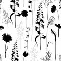 Silhouettes herbarium monochrome floral seamless pattern. Wild branches, leaves, flowers. Many kind of plants scattered random.