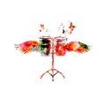 Colorful bongo drums with wings