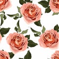 Floral seamless pattern, background design: garden peach, creamy, orange Rose, green leaves. Elegant, cute illustration. Royalty Free Stock Photo