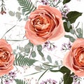 Floral seamless pattern, background design: garden peach, creamy, orange Rose, green leaves and herbs. Royalty Free Stock Photo