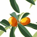 Seamless background with kumquat Fortunella fruits and leafs. Vintage style illustration on a white background.