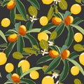 Cartoon style seamless pattern with Fortunella or Kumquat and lemon exotic fruits, flowers and leafs on black background for print