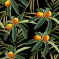 Cartoon style seamless pattern with Fortunella or Kumquat and palm leafs on black background for print, cloth texture or wallpaper