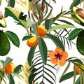 Seamless pattern with Fortunella or Kumquat exotic fruits, avocado, hibiscus flower, and exotic tropical leafs on a white. Royalty Free Stock Photo