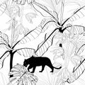 Palm bananas, orchid flower and pantera animal illustration. Black white line seamless pattern.