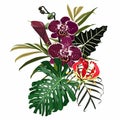 Tropical composition with orchid, lily flowers branch and leaves. Card element. Bouquet of flowers with exotic Leaf isolated on wh Royalty Free Stock Photo