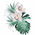 Tropical composition with orchid flowers and palm monstera leaves. Card element. Bouquet of flowers with exotic Leaf isolated on w Royalty Free Stock Photo