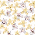 Watercolor style illustration, white yellow orchid flowers seamless pattern. Decorative background in rustic boohoo style. Royalty Free Stock Photo