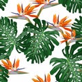 Tropical seamless pattern. Monstera leaves and strelitia paradise flowers on white background.