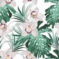 Tropical seamless pattern. Monstera palm leaves and white orchid flowers on white background. Royalty Free Stock Photo