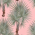 Seamless silver pattern. Tropical leaves. Fan palm leaf tropical leaves on siler blue color on pink background. Royalty Free Stock Photo