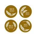 Premium Rice great quality design concept  vector. Royalty Free Stock Photo