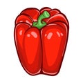 Red paprika. sweet peppers white background. Isolated Vector illustration. Royalty Free Stock Photo