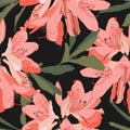 Seamless pattern with Oleander flower. Floral composition. Orange Rhododendron flowers. Royalty Free Stock Photo