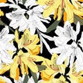 Seamless pattern with Oleander flower. Floral composition. Yellow Rhododendron flowers Royalty Free Stock Photo