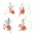 Floral alphabet set of peach roses elements. Letters A, B, C, D with flowers decoration. Botanic illustration for wedding invitati Royalty Free Stock Photo