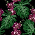 Tropical seamless pattern. Exotic orchid flowers and leaves in vintage colors background. Royalty Free Stock Photo