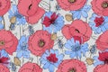 Vector floral seamless pattern. Pink, red poppies, blue chicory