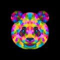 Colorful panda pop art portrait premium vector illustration isolated Royalty Free Stock Photo