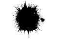 Vector black paint, ink splash, brushes ink droplets, blots. Black ink splatter background, isolated on white. Vector illustration Royalty Free Stock Photo