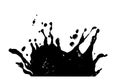 Vector black paint, ink splash, brushes ink droplets, blots. Black ink splatter background, isolated on white. Vector illustration Royalty Free Stock Photo