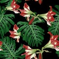 Tropical seamless pattern. Red lilies flowers and leaves on black background. Seamless exotic pattern with tropical plants. Royalty Free Stock Photo