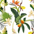 Seamless pattern with Fortunella or Kumquat exotic fruits, Medinilla flowers, and exotic tropical leafs on a white background.
