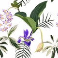 Tropical leaves with violet flowers. Seamless design with amazing Medinilla palant with flowers. Royalty Free Stock Photo