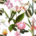 Exotic flowers pattern. Many kind of exotic tropical flowers in summer print.