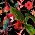 Tropical birds parrot, exotic jungle plants, leaves, red flowers abstract seamless black background. Royalty Free Stock Photo