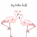 Valentine Day greeting card with flamingo love couple. Loving couple of exotic pink birds forming heart shape and kisses.