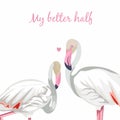 Valentine Day greeting card with flamingo love couple. Loving couple of exotic pink birds forming heart shape and kisses. Royalty Free Stock Photo