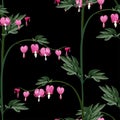 Seamless background from a flowers ornament, fashionable modern wallpaper or textile.