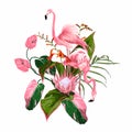 Paradise pink flamingo birds couple with exotic leaves and protea flower. Royalty Free Stock Photo