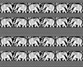 Seamless pattern with white decorative elephants, flowers and borders on a black backdrop.