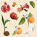 Set of stickers and icons of healthy and organic food illustration.