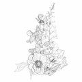 Line floral bouquets with black and white hand drawn herbs, garden flowers and insects in sketch style. Royalty Free Stock Photo