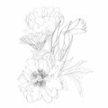 Line floral bouquets with black and white hand drawn herbs, garden flowers and insects in sketch style.