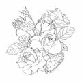 Line floral bouquets with black and white hand drawn herbs, garden flowers and insects in sketch style. Royalty Free Stock Photo