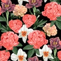 Floral Seamless Pattern with peony flowers  tulips and daffodils spring flowers and leaves. Blooming Flowers on black Background. Royalty Free Stock Photo