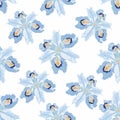 Seamless floral pattern. Arrangement light blue iris flowers by delicately leaves on a white background. Royalty Free Stock Photo