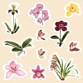 Set of tropical orchids flowers elements. Set of stickers, pins, patches and handwritten notes collection stikers kit.