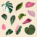 Cute tropical set of different stickers with wild exotic leaves. Summer cartoon doodle hand drawn elements.
