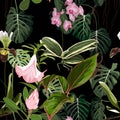 Exotic flowers pattern. Many kind of exotic tropical flowers and leaves in summer print.